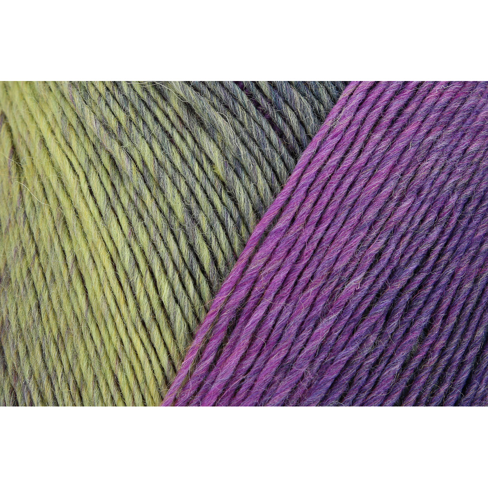 Wolle Regia forget-me-not Virtuoso Color 375m 150g