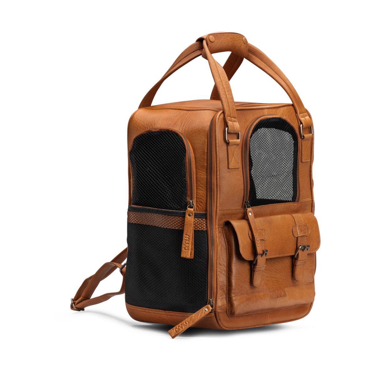 Transportrucksack Hunde Leder Cecily Whisky