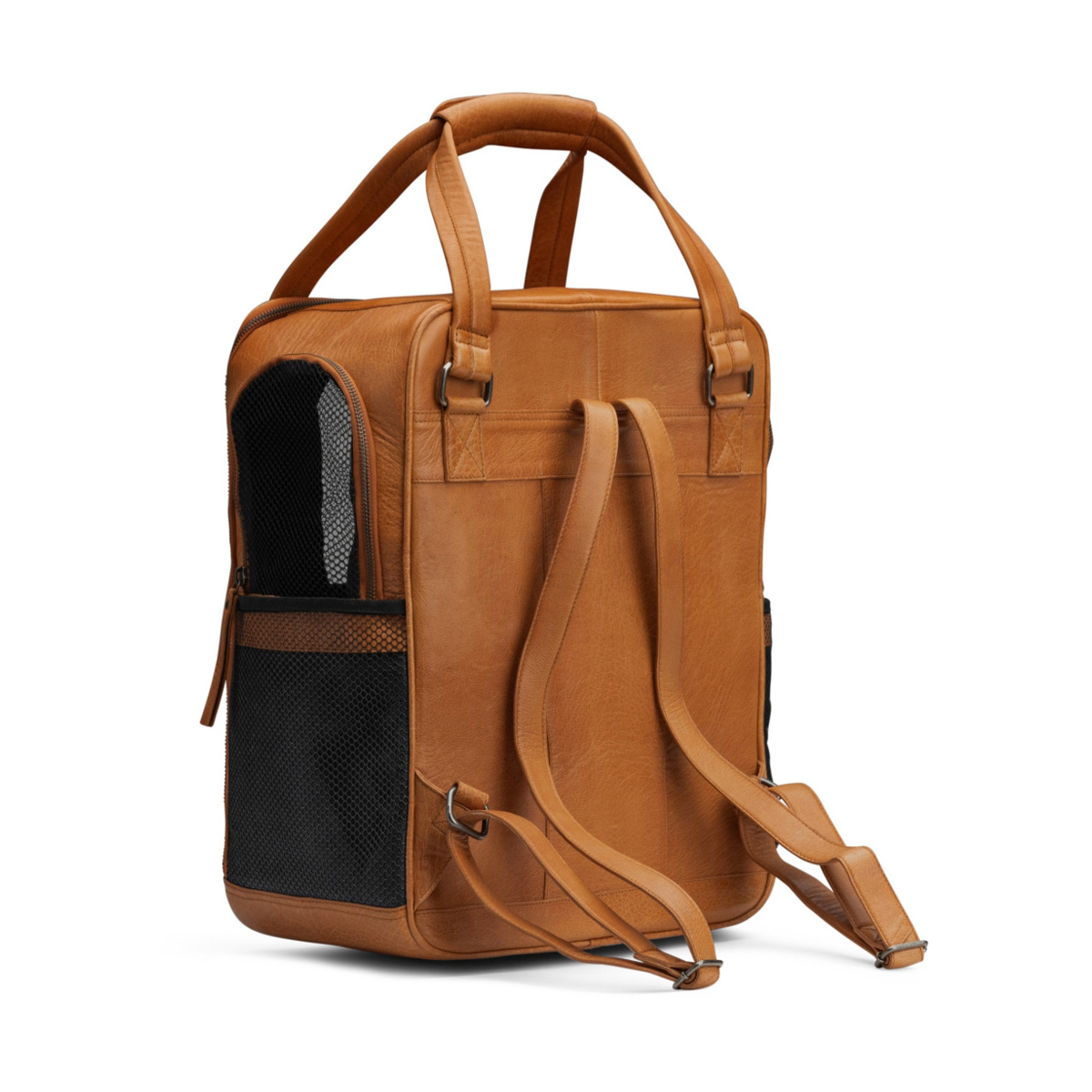 Transportrucksack Hunde Leder Cecily Whisky